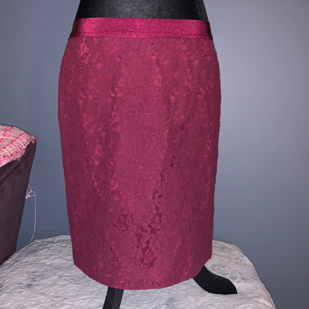 Ann Taylor Size 10P Lace Pencil Skirt
